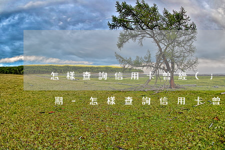 怎樣查詢信用卡曾經(jīng)逾期的日期-怎樣查詢信用卡曾經(jīng)逾期的日期記錄