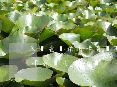 怎樣查詢信用卡有沒有被起訴(怎樣查詢信用卡有沒有被起訴)
