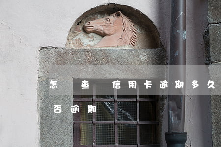 怎樣查詢信用卡逾期多久(如何查看信用卡是否逾期)