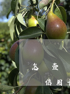 怎樣查詢信用卡逾期有沒有被起訴-怎樣查詢信用卡逾期有沒有被起訴呢