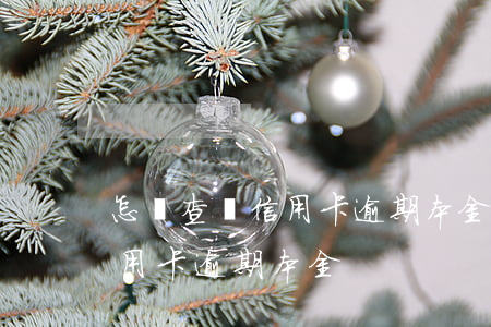 怎樣查詢信用卡逾期本金(怎么查招商銀行信用卡逾期本金)