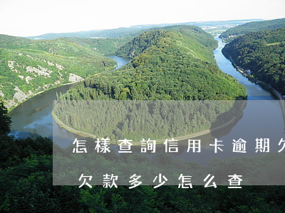 怎樣查詢信用卡逾期欠款金額(想知道信用卡欠款多少怎么查)