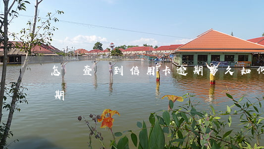 怎樣查詢到信用卡逾期多久(如何查信用卡逾期)