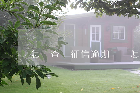 怎樣查詢征信逾期記錄(怎樣查詢征信逾期記錄)