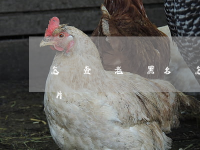 怎樣查詢老賴黑名單(怎樣查詢老賴黑名單 相片)