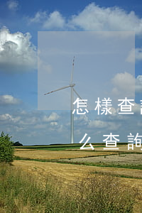 怎樣查詢自己被網(wǎng)貸起訴了(怎么查詢網(wǎng)貸有沒有被起訴)