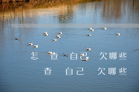 怎樣查詢自己還欠哪些網(wǎng)貸(怎樣查詢自己還欠哪些網(wǎng)貸)