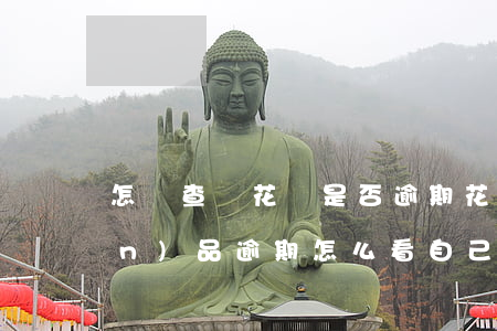怎樣查詢花唄是否逾期(花唄說有產(chǎn)品逾期怎么看自己哪些產(chǎn)品逾期了)
