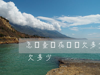 怎樣查詢花唄還欠多少(怎樣看自己花唄總共欠多少)