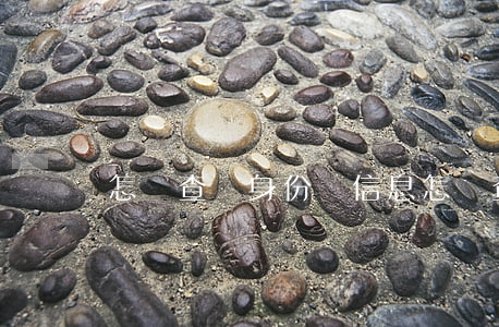 怎樣查詢身份證信息(怎樣查詢身份證信息查詢)