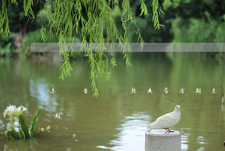 怎樣查詢還款是否逾期(怎樣查詢還款是否逾期)