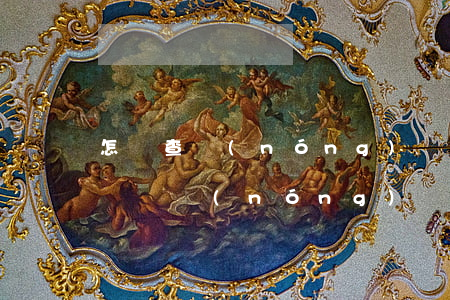 怎樣查農(nóng)業(yè)房貸逾期記錄(農(nóng)業(yè)銀行app怎么查房貸明細(xì))