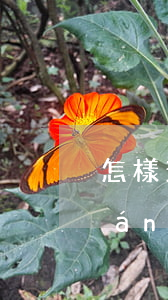 怎樣查還欠網(wǎng)貸多少錢(qián)(怎么能查出欠了多少網(wǎng)貸)