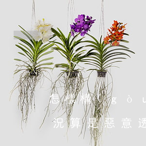 怎樣構(gòu)成惡意透支信用卡(什么情況算是惡意透支信用卡)
