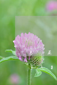 怎樣正確對待網(wǎng)貸逾期(網(wǎng)貸逾期需要知道法律)