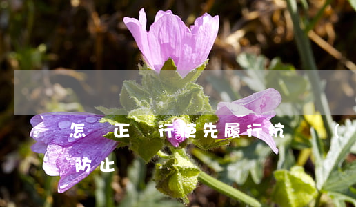 怎樣正確行使先履行抗辯權(quán)來防止違約