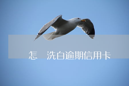 怎樣洗白逾期信用卡