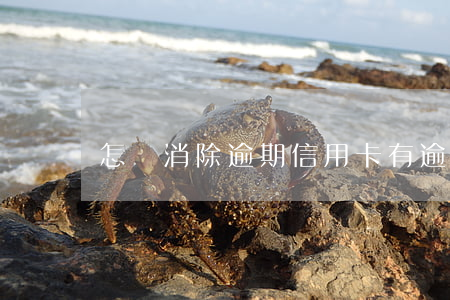 怎樣消除逾期信用卡 有逾期怎么辦信用卡