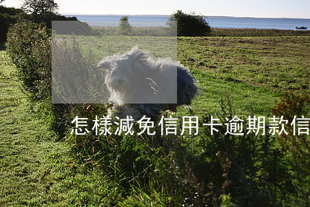 怎樣減免信用卡逾期款 信用卡逾期怎么辦
