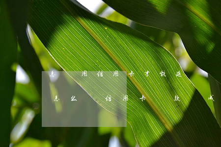 怎樣用信用卡才能延長還款時(shí)間(怎么讓信用卡還款變成50天)