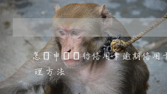 怎樣申訴銀行信用卡逾期(信用卡逾期怎么處理方法)