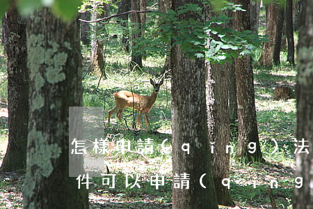 怎樣申請(qǐng)法律援助律師(什么條件可以申請(qǐng)法律援助律師)