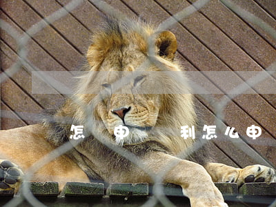 怎樣申請專利(怎么申請自己的專利)