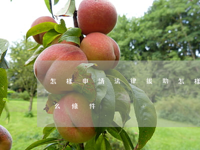 怎樣申請法律援助(怎樣申請法律援助需要什么條件)