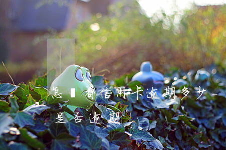 怎樣看信用卡逾期多少-怎么看自己信用卡是否逾期