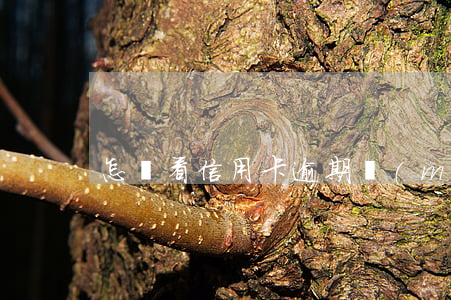 怎樣看信用卡逾期沒(méi)有