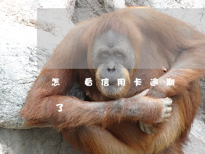 怎樣看信用卡逾期記錄（如何看到信用卡逾期了）
