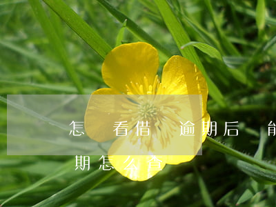 怎樣看借唄逾期后還能不能借出來-借唄逾期怎么查詢