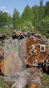 怎樣知道信用卡逾期后的欠款金額-怎樣知道信用卡逾期后的欠款金額是多少