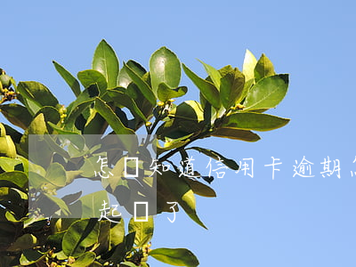 怎樣知道信用卡逾期(怎樣知道信用卡逾期被起訴了)