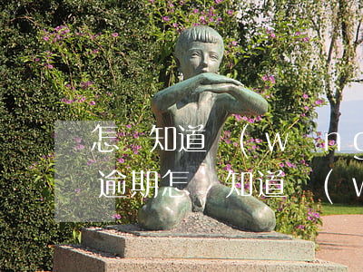 怎樣知道網(wǎng)貸沒(méi)有逾期(怎樣知道網(wǎng)貸沒(méi)有逾期過(guò))