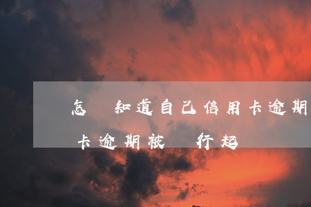 怎樣知道自己信用卡逾期被起訴(怎么查信用卡逾期被銀行起訴)