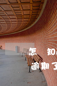 怎樣知道自己花唄逾期了(怎樣知道自己花唄逾期了)