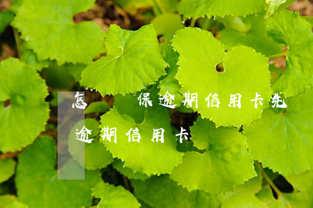 怎樣確保逾期信用卡先還的是本金-怎么還逾期信用卡