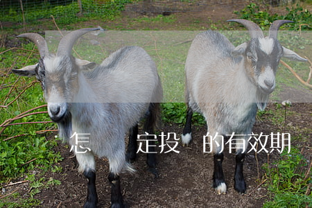 怎樣確定投標的有效期