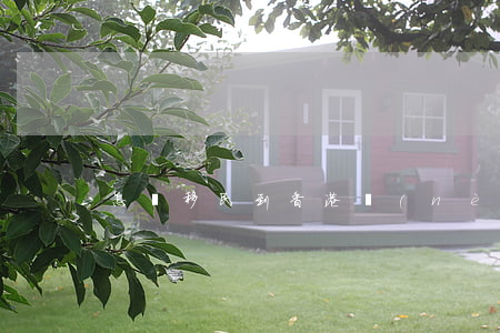 怎樣移民到香港(內(nèi)地移民到香港)