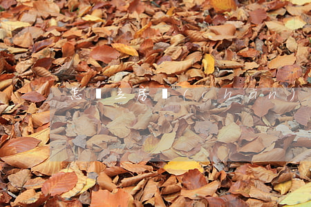 怎樣立房產(chǎn)遺囑才有效