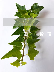 怎樣算信用卡逾期還款(怎么算逾期還款)
