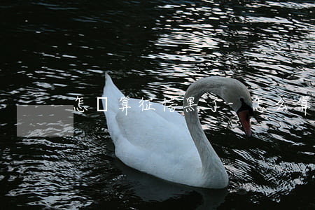 怎樣算征信黑了-怎么算征信黑了