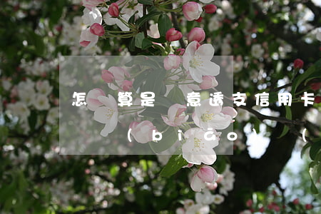 怎樣算是惡意透支信用卡(信用卡惡意透支判斷標(biāo)準(zhǔn))