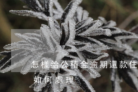 怎樣給公積金逾期還款(住房公積金還貸逾期如何處理)