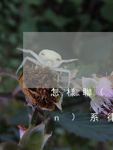 怎樣聯(lián)系律師(如何聯(lián)系律師)