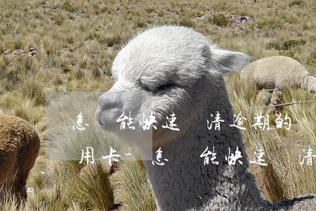 怎樣能快速還清逾期的網(wǎng)貸信用卡-怎樣能快速還清逾期的網(wǎng)貸信用卡呢