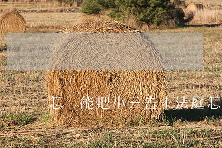 怎樣能把小三告上法庭(怎樣起訴小三到法院)