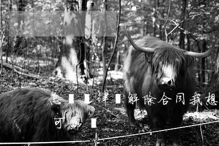 怎樣與律師解除合同(我想解除和律師的合同可以嗎?)