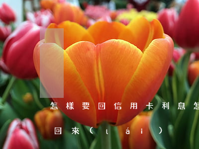 怎樣要回信用卡利息(怎么把信用卡委婉的要回來(lái))